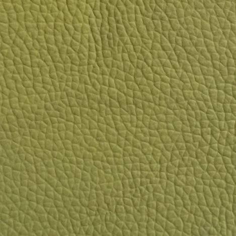 Lime Leather